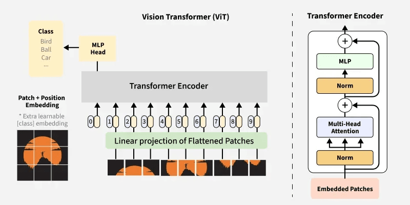 Vision Transformer Architecture