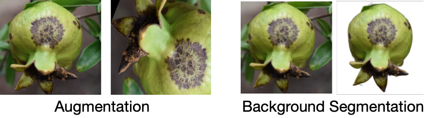 Augmentation and Background reduction